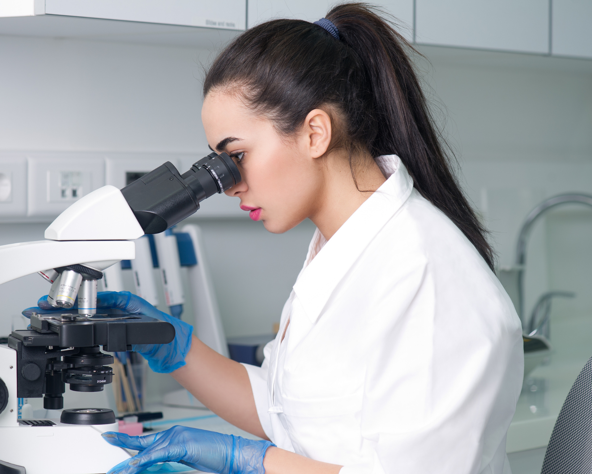 566117789 1303045864482216 530327923916163525 n